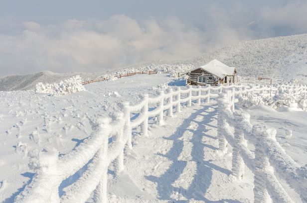 冬の「雪花旅行」はどこが最高？　韓国の冬山の雪景色4選