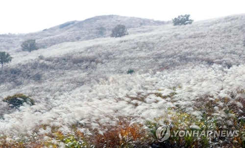 ＢＴＳ・ＲＭの新曲ＭＶ　韓国南部の黄梅山で撮影